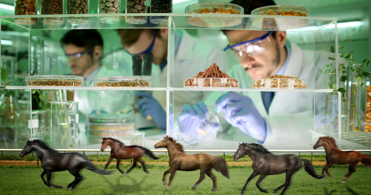 馬　サプリメント　7個 競走馬飼料 | ハイチャージ7