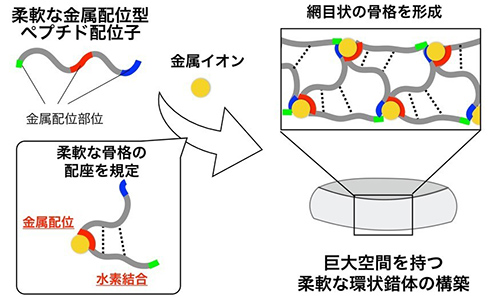 図１：柔軟な小分子から巨大環状構造を形成する本研究の概念図
