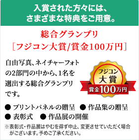 入賞された方々には、さまざまな特典をご用意。