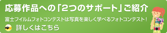 応募作品への「2つのサポート」ご紹介