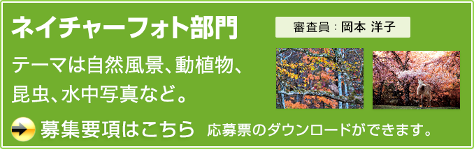 「ネイチャーフォト部門」募集要項はこちら！