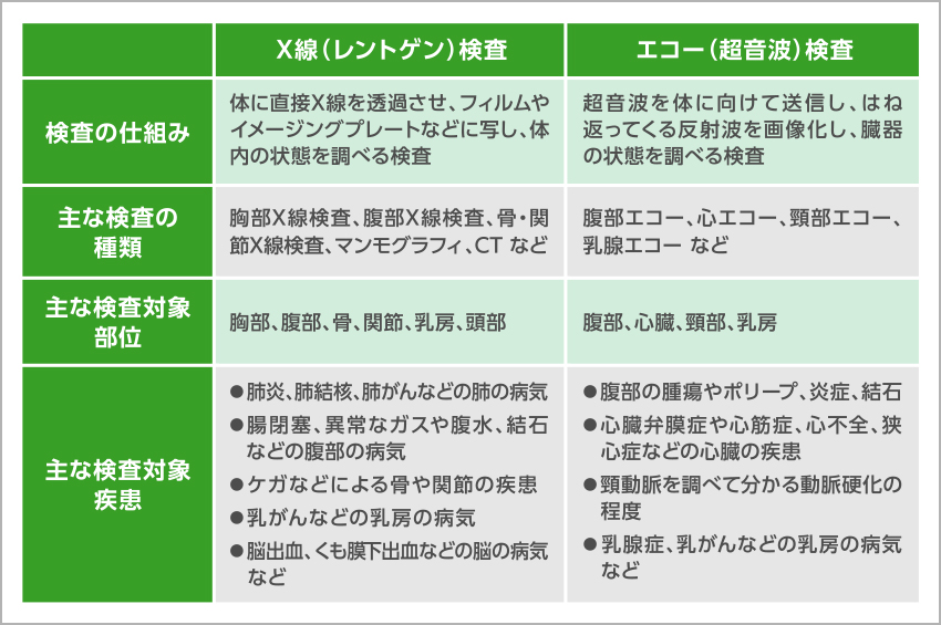 それはどのように見えますか？