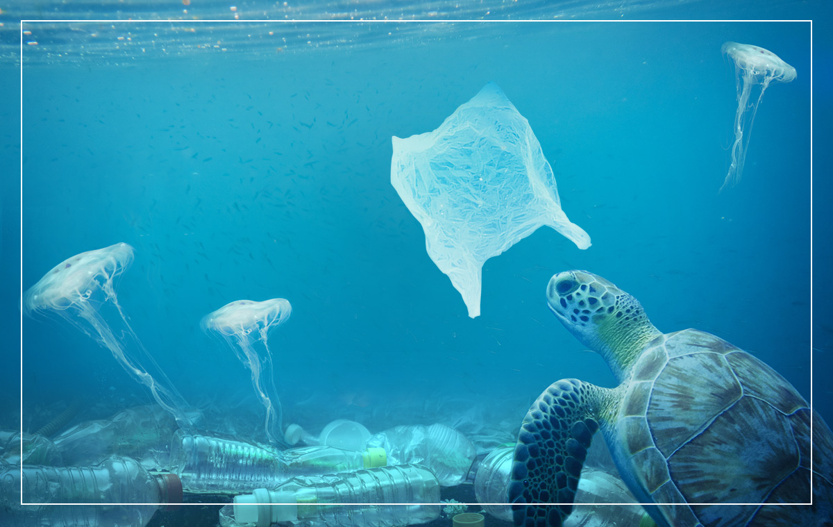 海洋プラスチックゴミ の脅威とは Reading Keywords Future Clip 富士フイルム