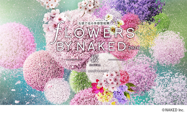 FLOWERS BY NAKED 2020 ー桜ー ©NAKED Inc.