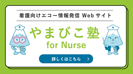 看護向けエコー情報発信 Webサイト やまびこ塾 for Nurse